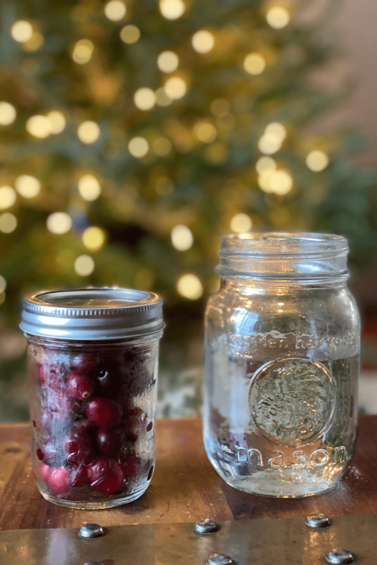 How To Determine If Cranberries are Buoyant: A Winter Science Experiment