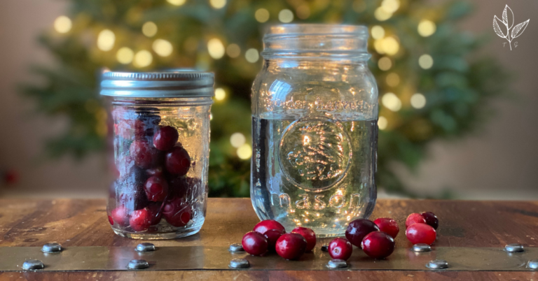 How to Determine if Cranberries are Buoyant: A Winter Science Experiment.