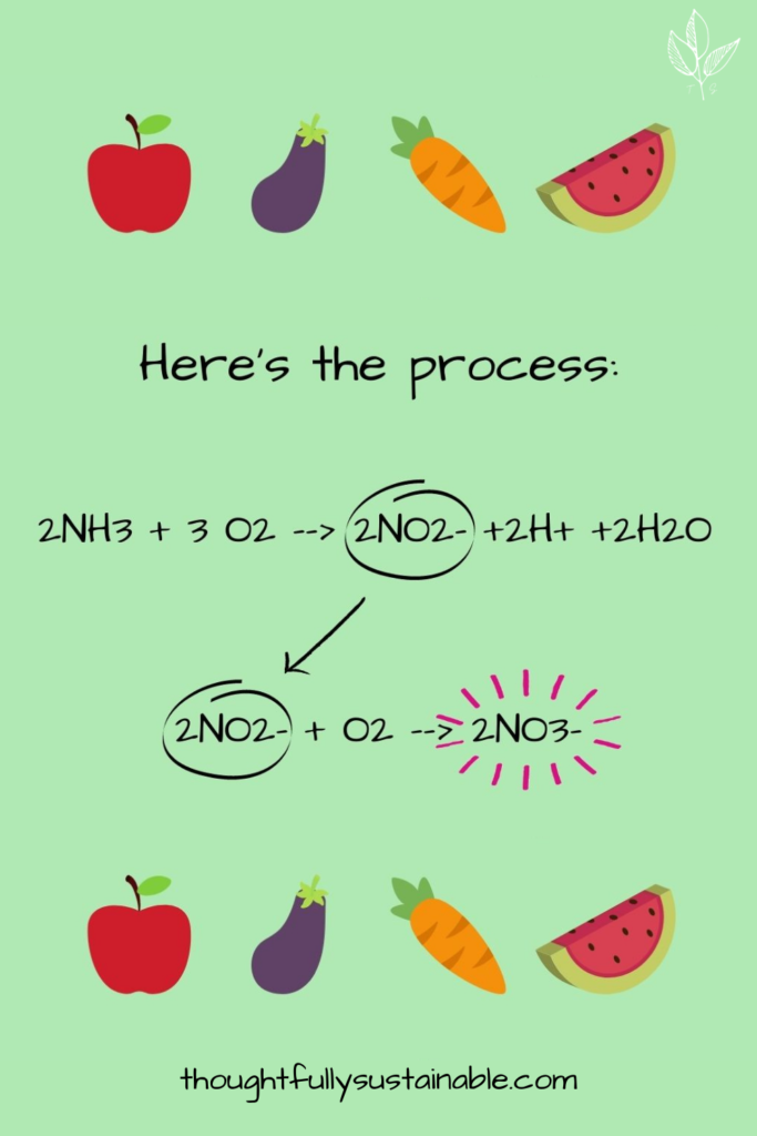 infographic showing the chemical equation of nitrate converts with oxygen during decomposition