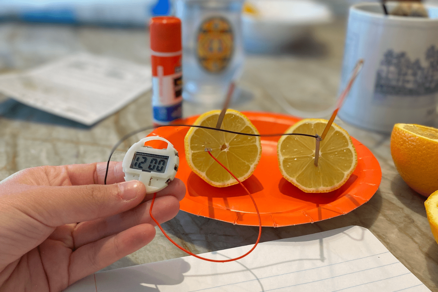 Sliced lemon contains two copper and zinc electrodes with white, black and red wires that connect to a small LED clock