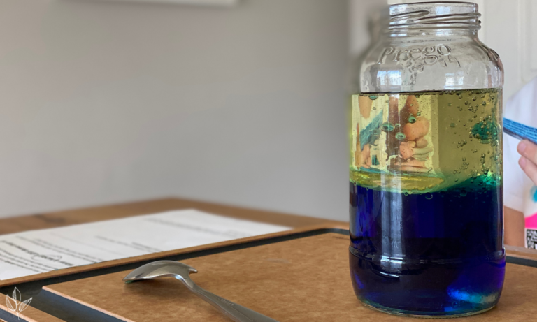 Discovering Density with Kids by Making Lava Lamps and Cleaning Up Oil Spills