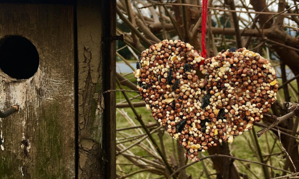 a heart shaped bird seed ornament hangs by a red string outside