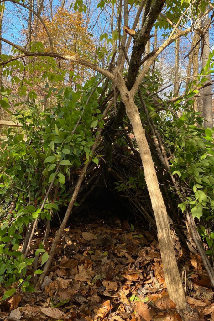 a temporary outdoor shelter made from branches and leaves