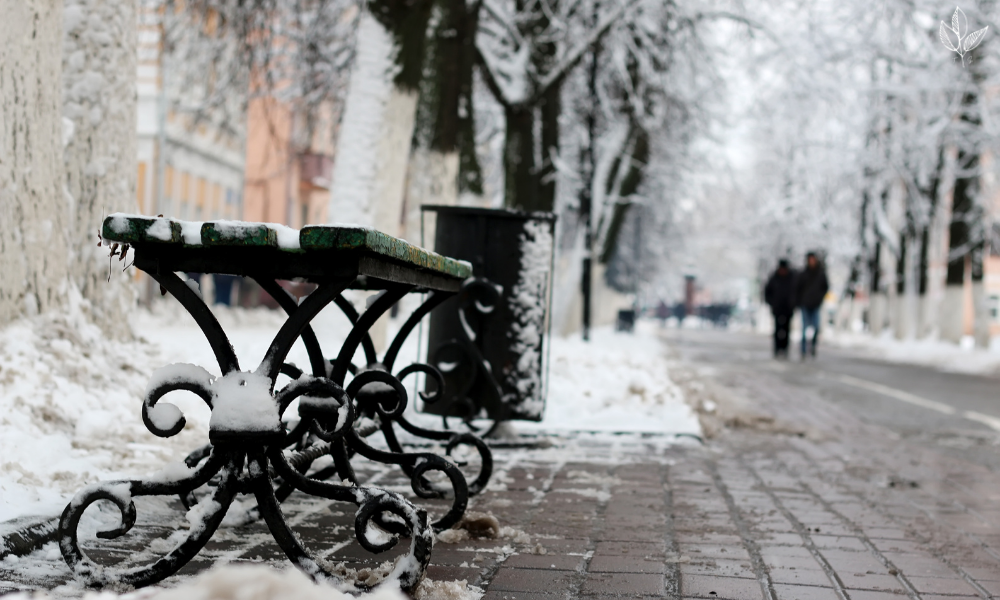 winter sidewalk and bench 