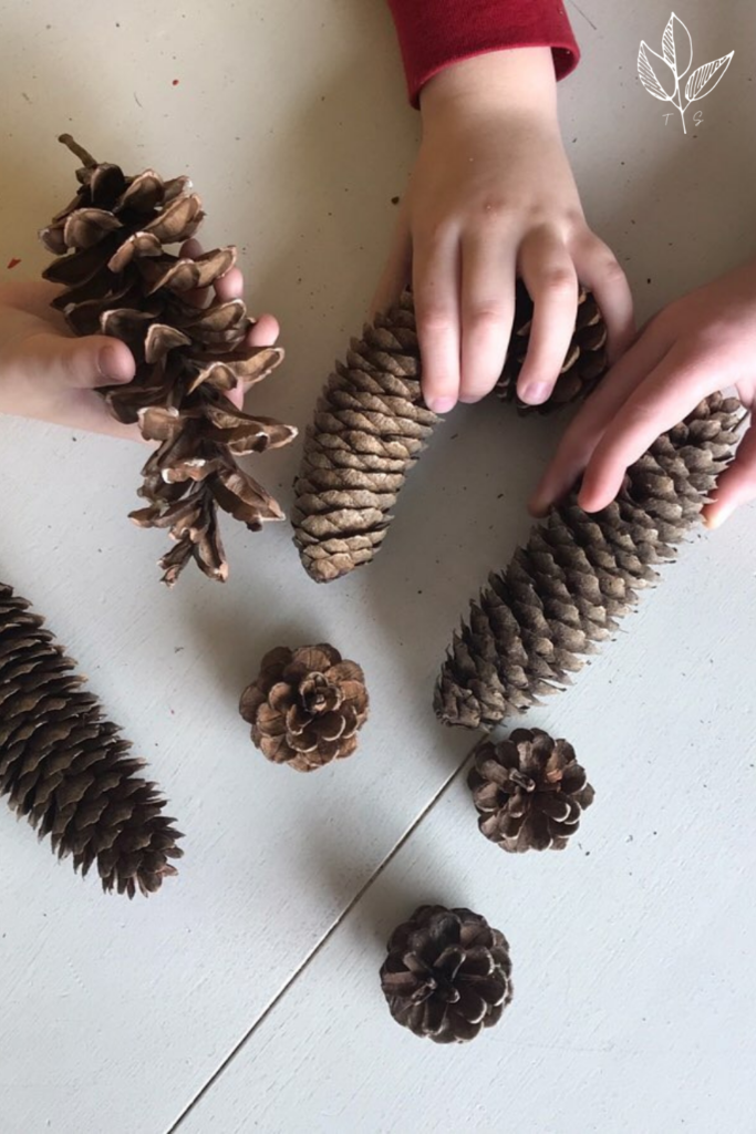 pine cones sit on a table with little hands reaching for them
