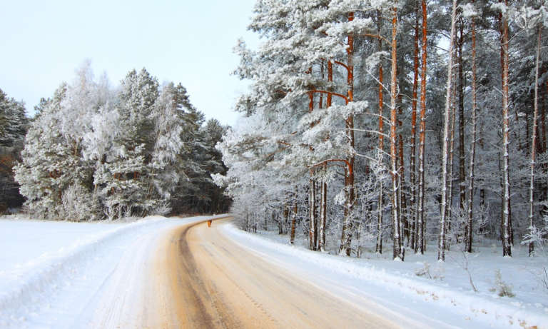 How Road Salt Effects the Environment: A Science Lesson for Kids