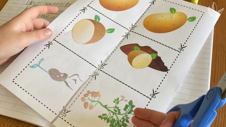 Teaching Kids How to Grow Potatoes + FREE Printable