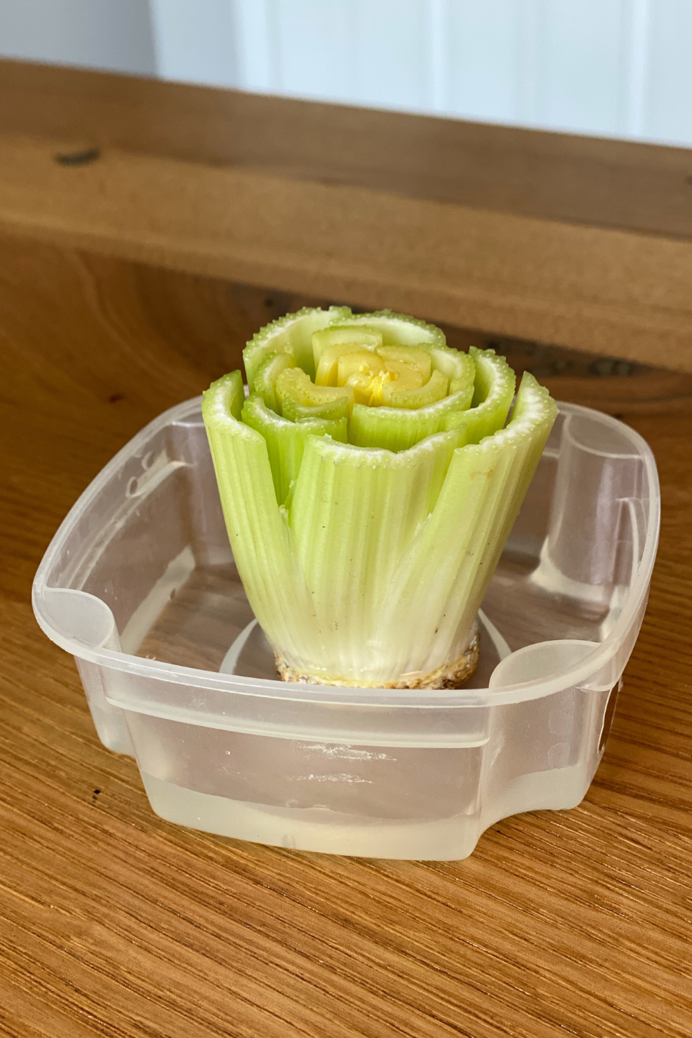 How to Regrow Vegetables From Food Scraps + Free Science Experiment ...