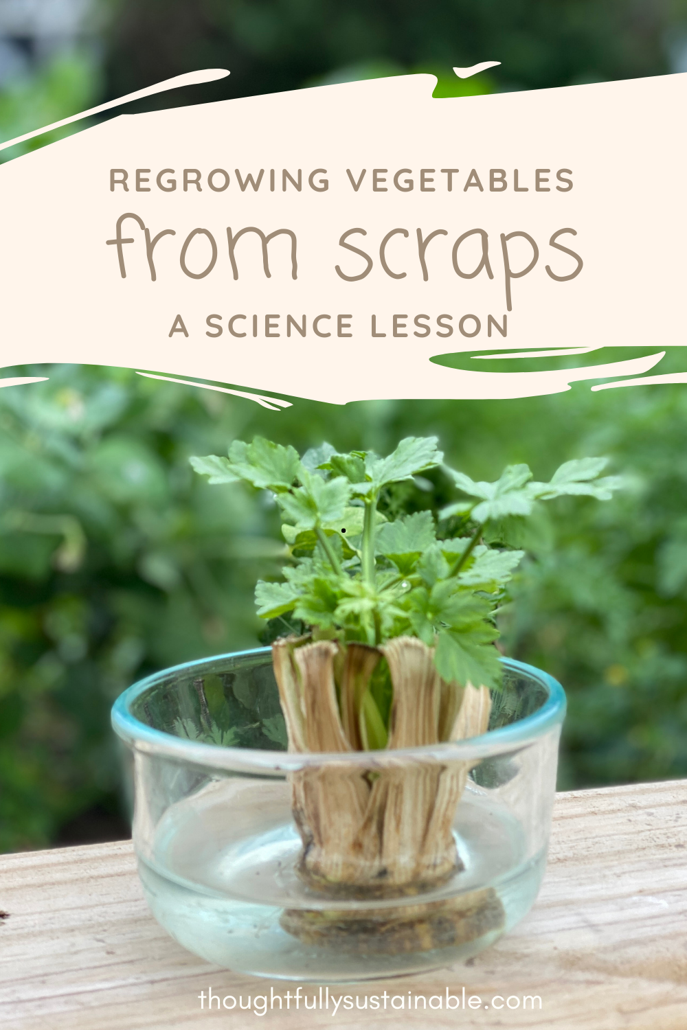 How to Regrow Vegetables From Food Scraps + Free Science Experiment ...