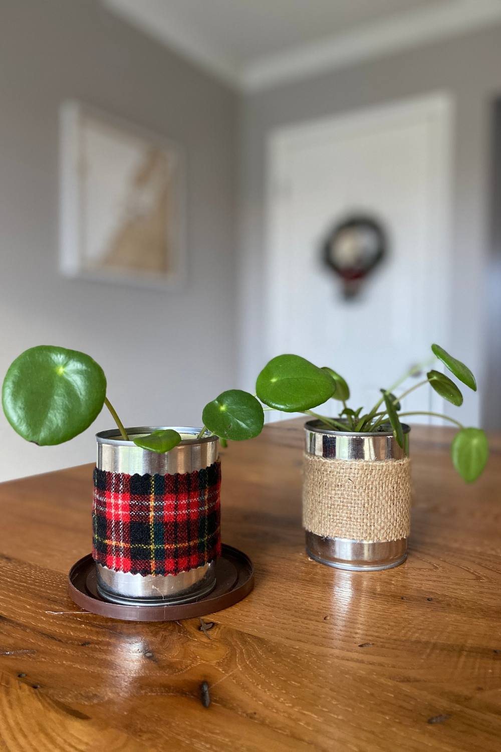 How to Transform a Metal Can into a Planter