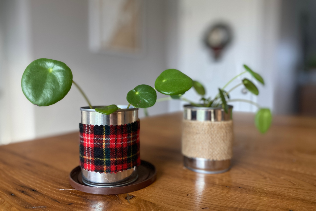 Teaching Kids How to Grow Potatoes + FREE Printable – Thoughtfully