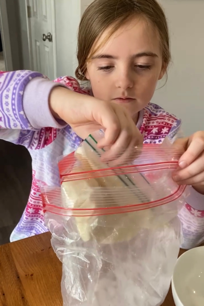 How to Make Ice Cream in a Bag - Tasty Science Project