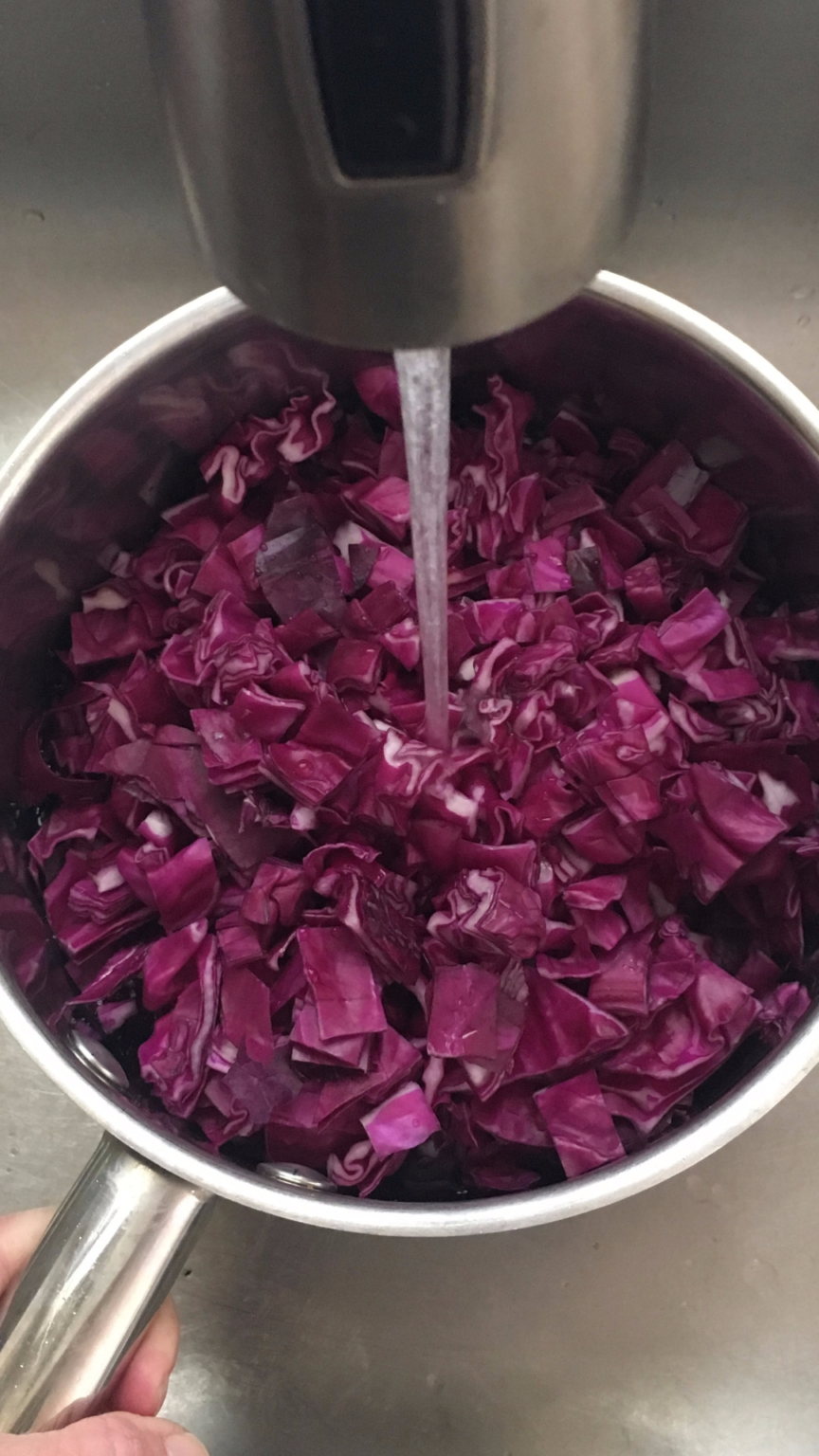 How To Use Cabbage Juice For Chemistry Experiments Thoughtfully   8C605103 A0BF 4F93 BD5F 0BF73DBE030F 864x1536 