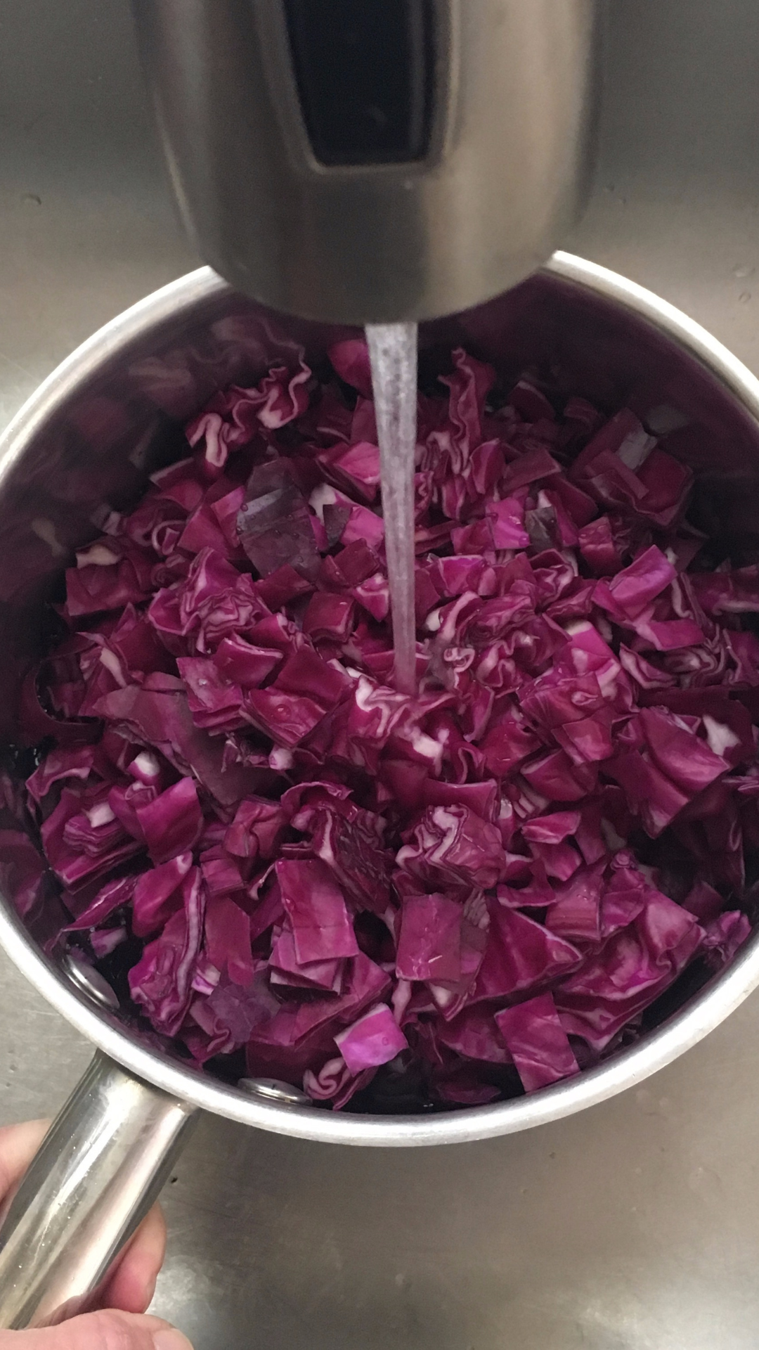 How to Use Cabbage Juice for Chemistry Experiments - Thoughtfully ...