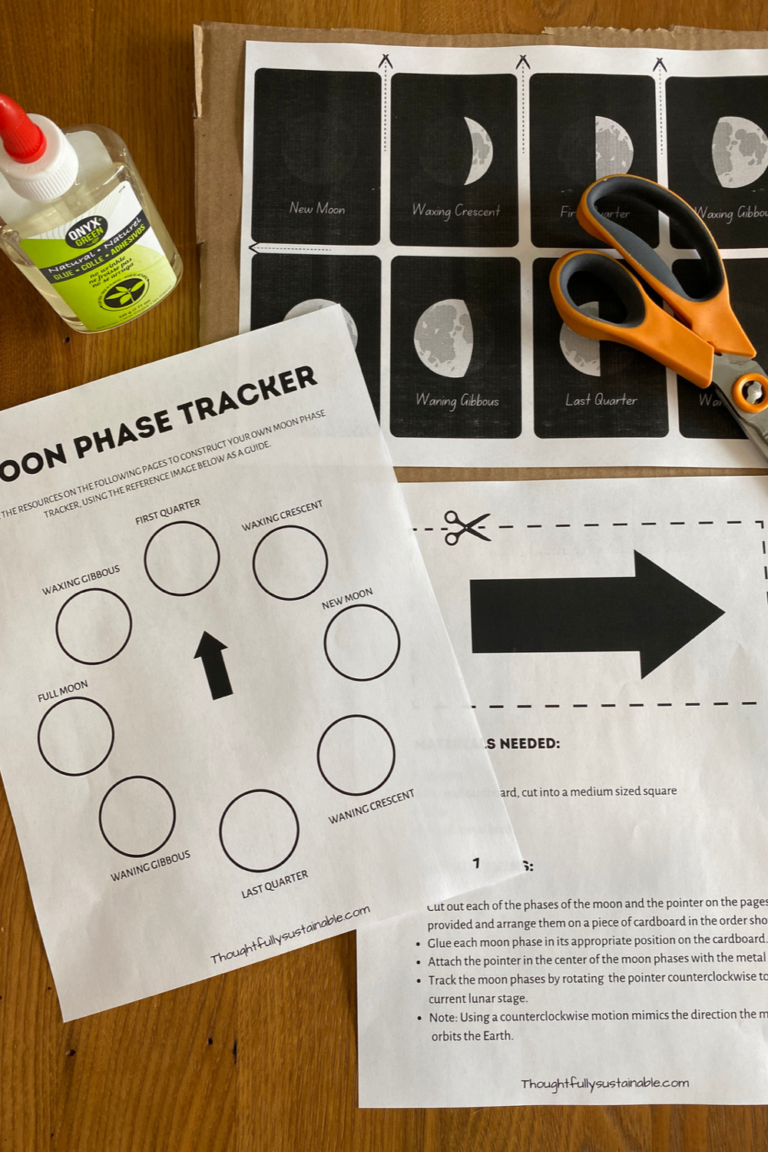 Phase Tracker How to Make a Cardboard Lunar Calendar with Kids - Thoughtfully Sustainable
