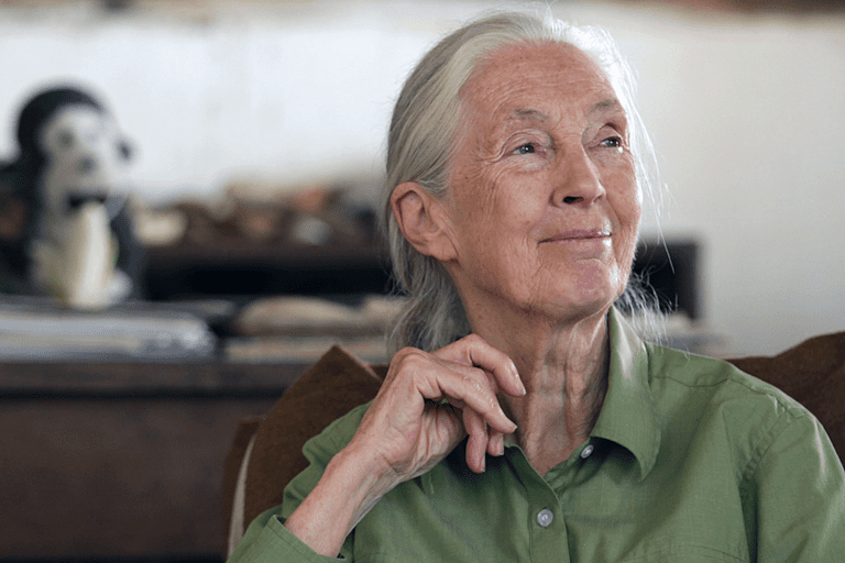Explore the World of Jane Goodall: A Famous Female Scientist