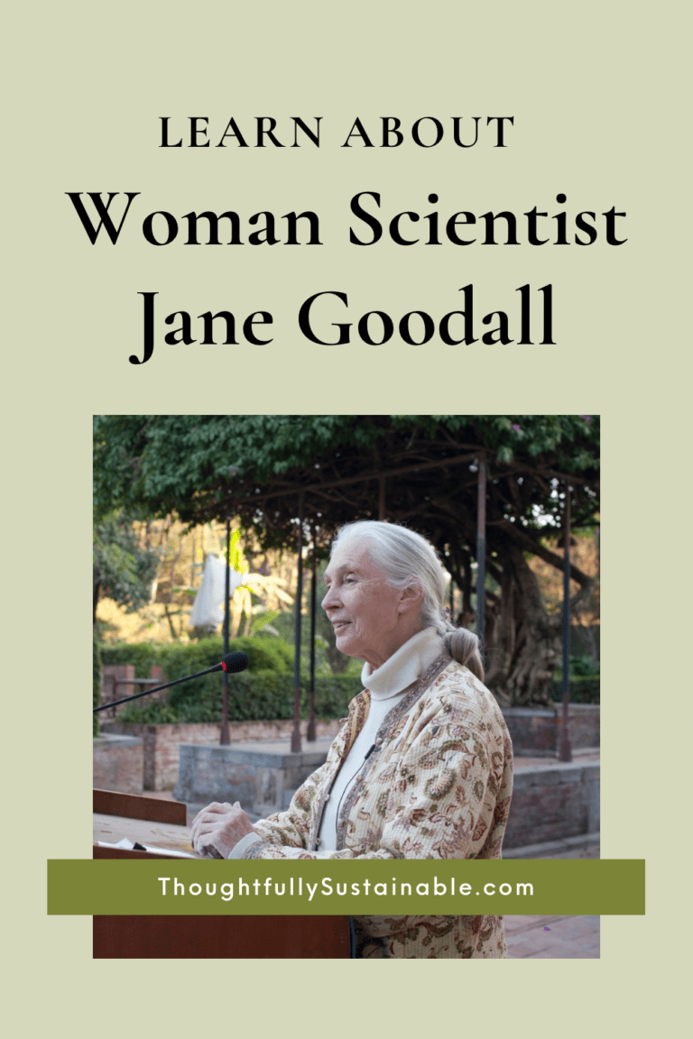 Explore The World Of Jane Goodall: A Famous Female Scientist ...