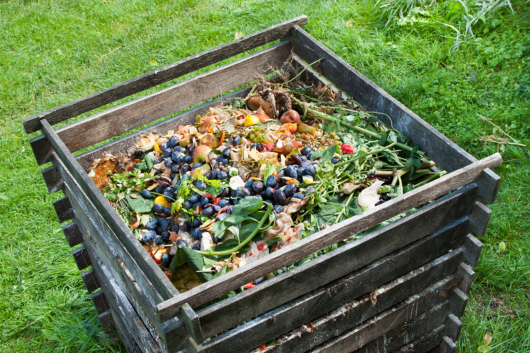 Science of Backyard Composting: Understanding the Benefits and Techniques