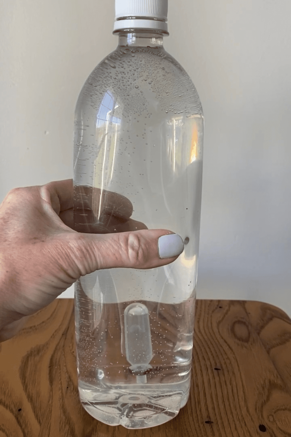 cartesian diver science experiment