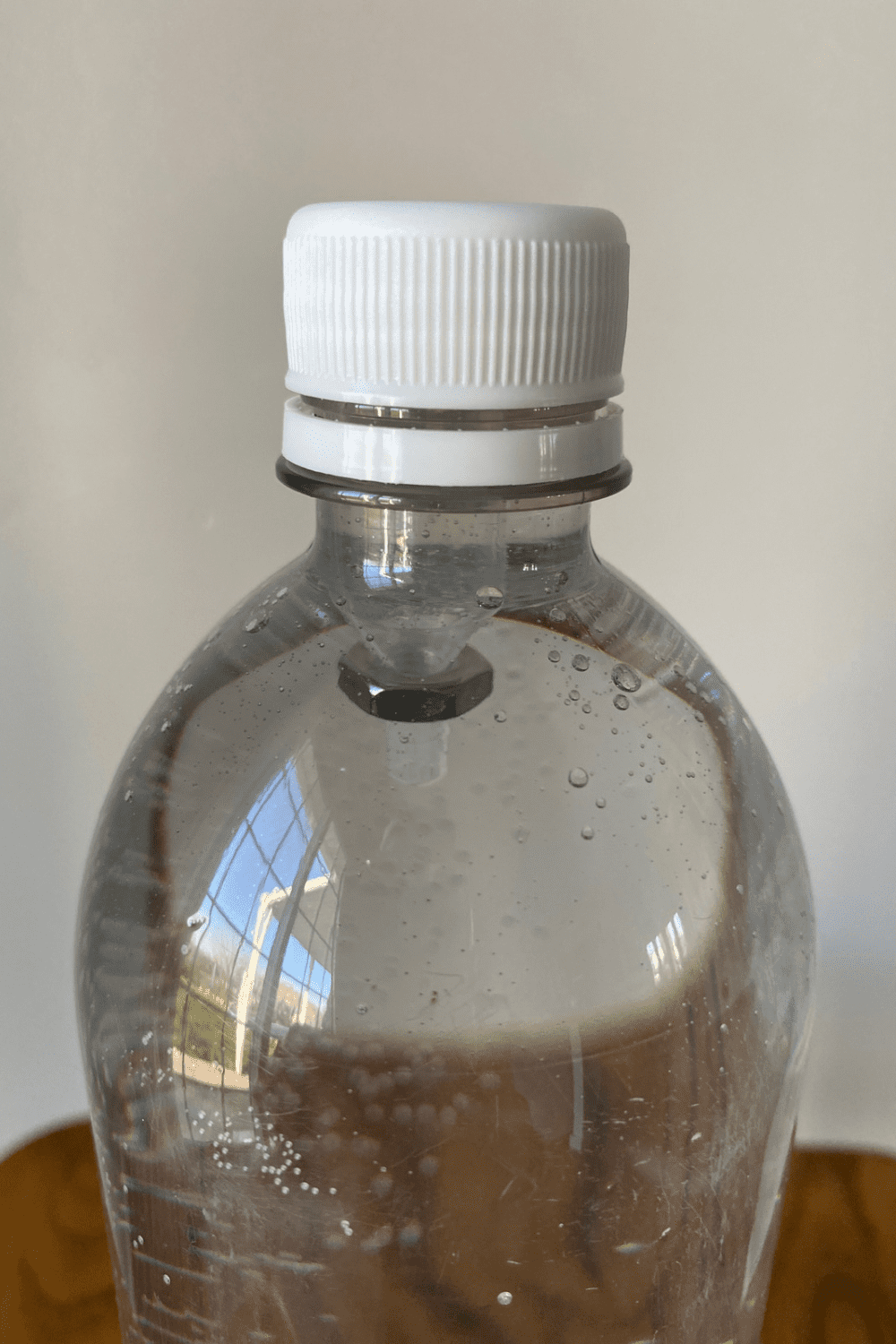 How to Make a Cartesian Diver Science Project for Kids – Thoughtfully ...