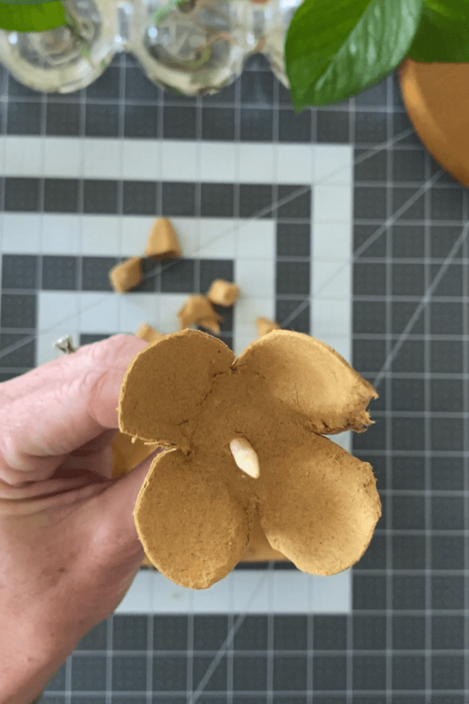 Shape four rounded flower petals out of each cup.