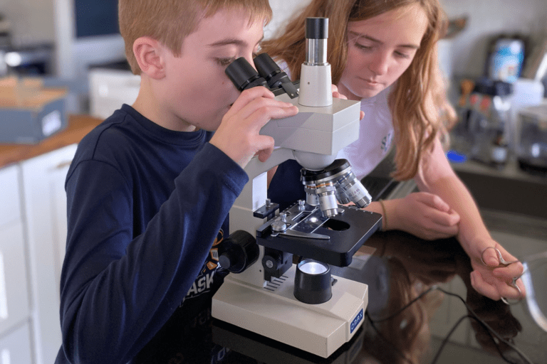 Full and Unpaid Review of the OMAX 40X-2500X Digital Lab Trinocular Compound LED Microscope