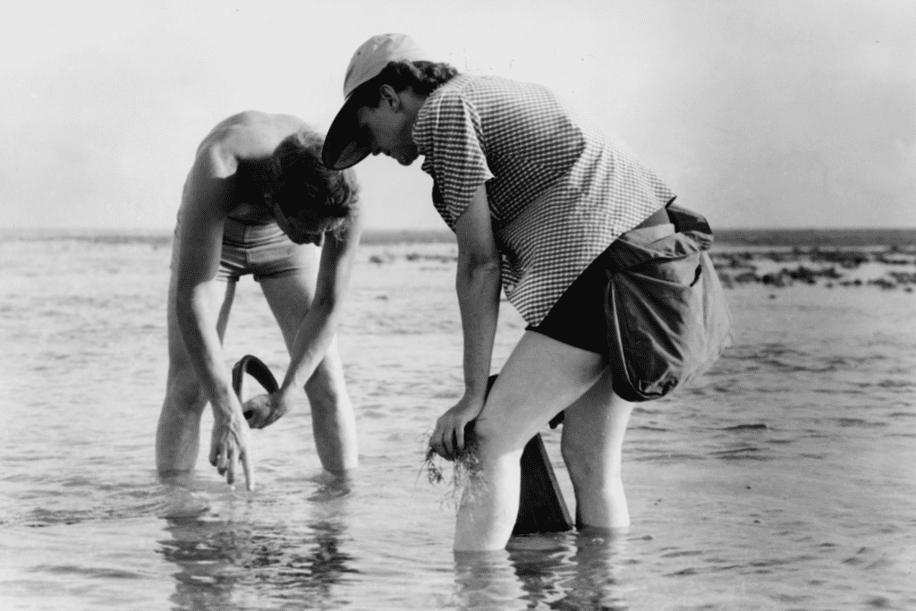 Rachel Carson and Robert Hines conducting marine biology research.