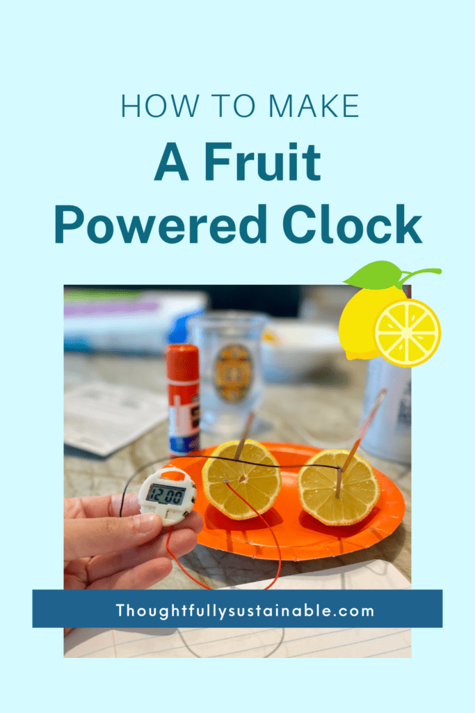 how to make a fruit powered clock