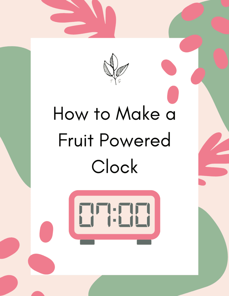 How to Make a Fruit Powered Clock
