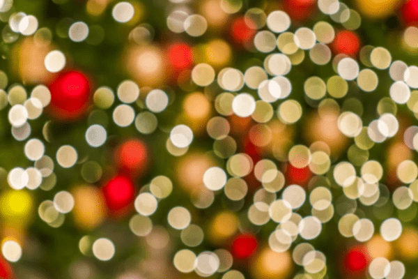 A More Meaningful December: Introducing the Sustainability Advent Calendar